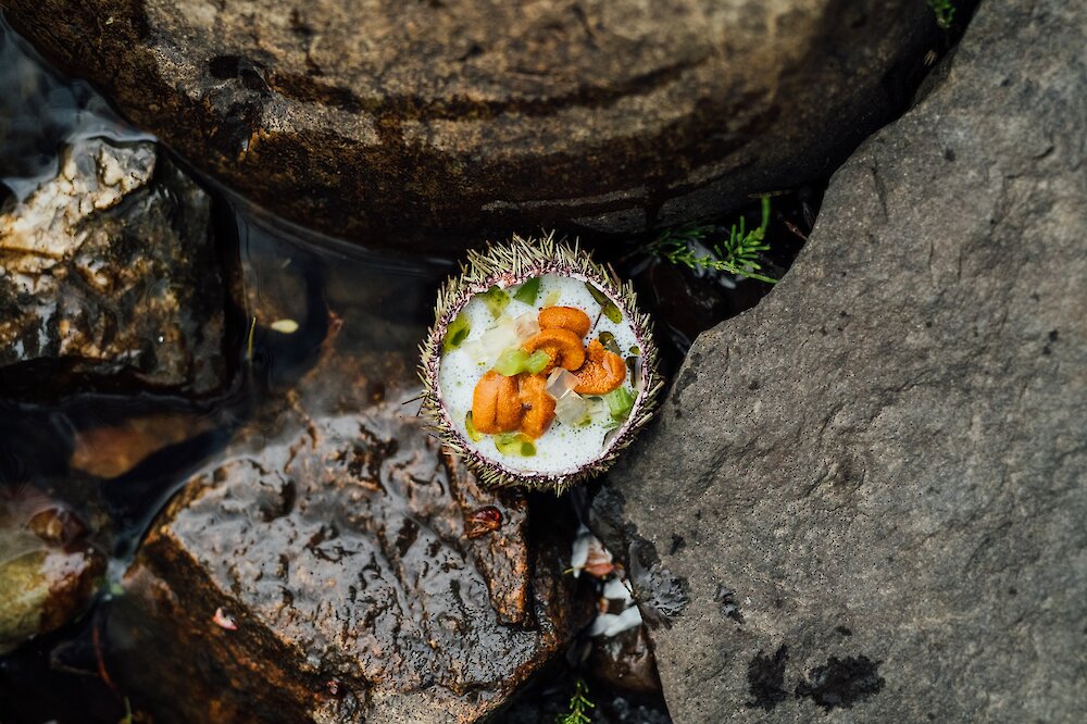 Une assiette au restaurant gastronomique