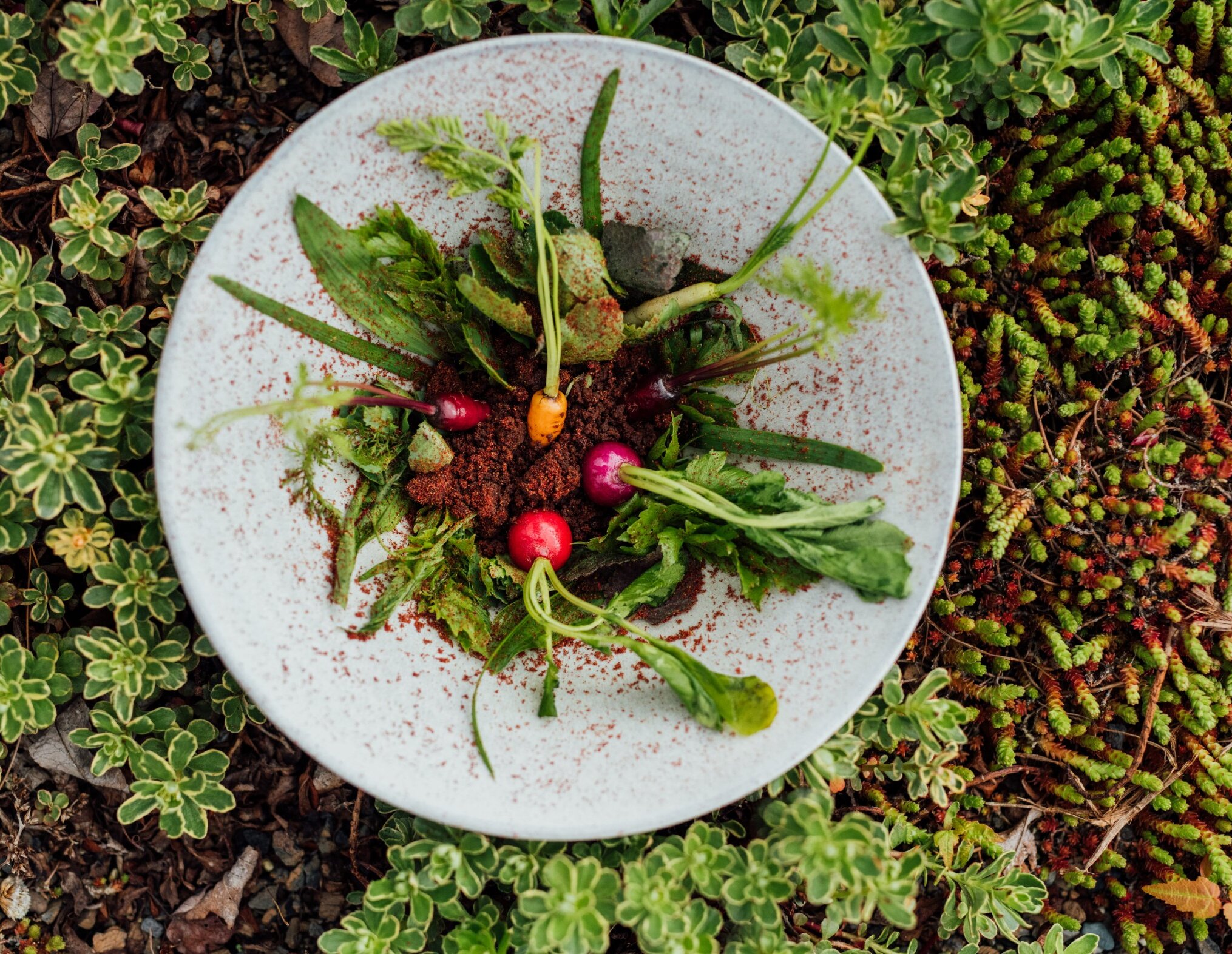 Une assiette très saine avec des herbes du terroir